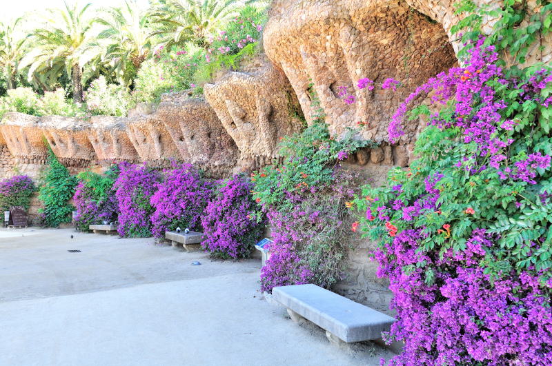 グエル公園の中央広場