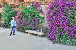 グエル公園の中央広場