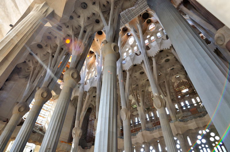 森の中にいるような空間を表現した柱