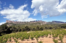 鋸状の奇岩を冠した、モンセラート [Montserrat] 