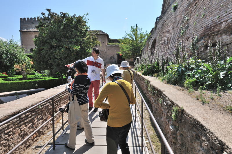マチュカの庭園[Patio de Machuca]を経由してナスル朝宮殿[Palacios Nazaries]へ向かう
