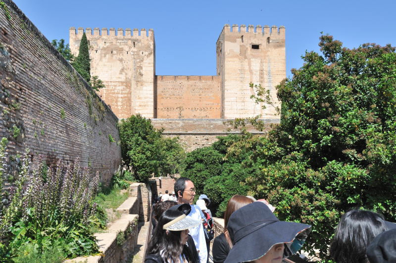 マチュカの庭園[Patio de Machuca]、中央の大きな建物はアルカサバ(城塞)