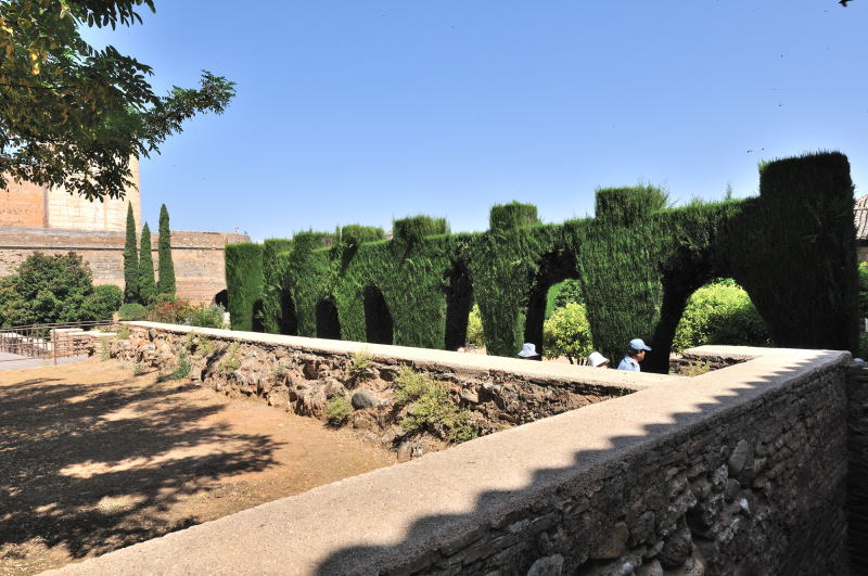 マチュカの庭園[Patio de Machuca]