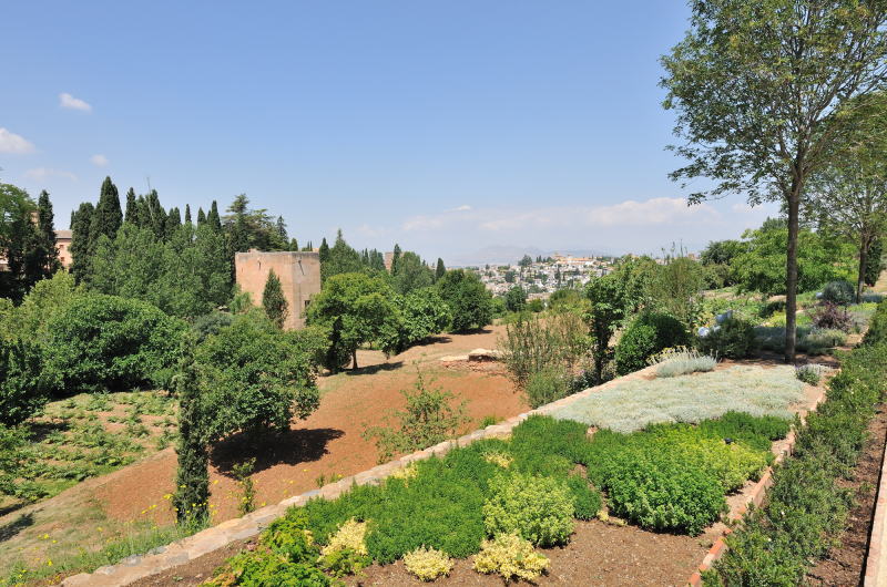 �w�l�����t�F�̂��鑾�z�̋u����̒��]