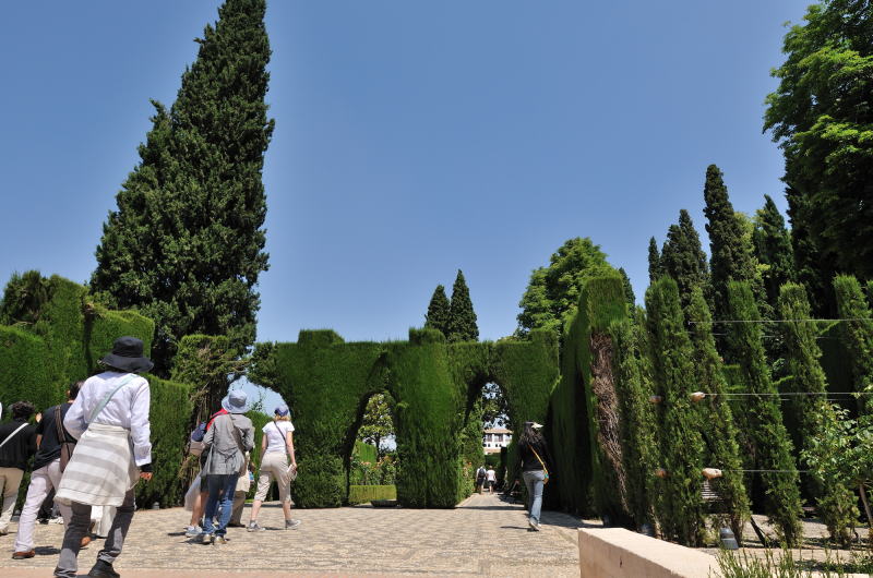 �w�l�����t�F���{�ւ̒뉀�V����