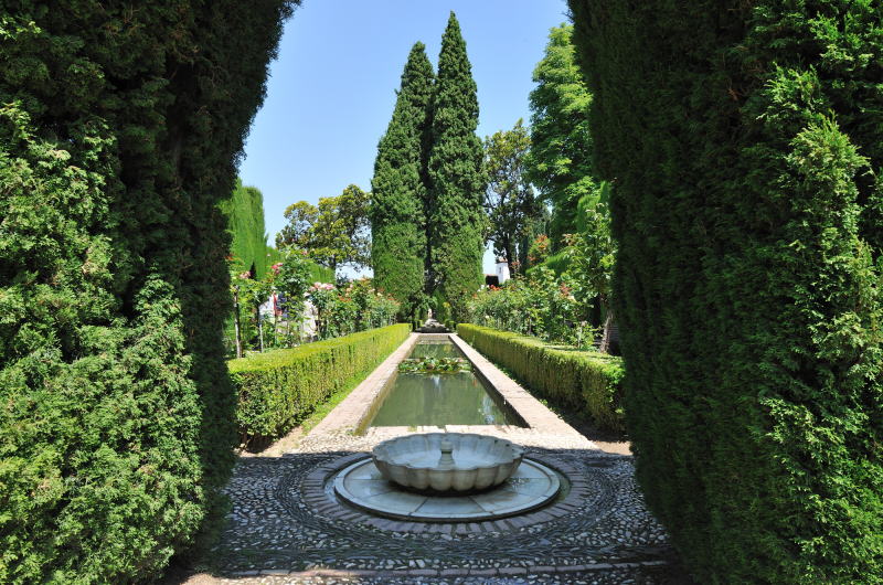 �����A�o���̉ԁA�r�╬���Ȃǂł������ꂽ�뉀