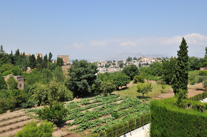 �뉀�V�������璭�߂�A�A���n���u���{�a�ƃO���i�_�s�X