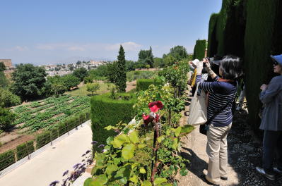 �w�l�����t�F�뉀�̗V��������̒���