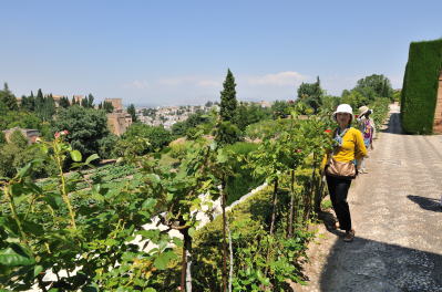 �w�l�����t�F�뉀�̗V��������̒���