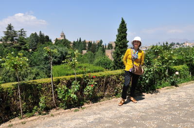 �w�l�����t�F�뉀�̗V��������̒���