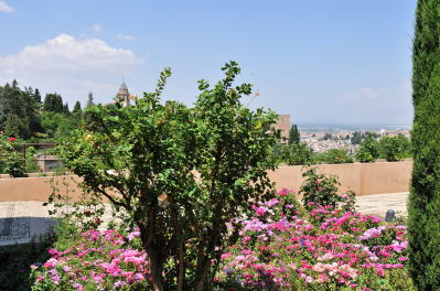 �w�l�����t�F�뉀�̗V��������̒���