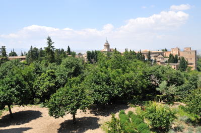 �w�l�����t�F���{�̉�L����]�ރA���n���u���{�a