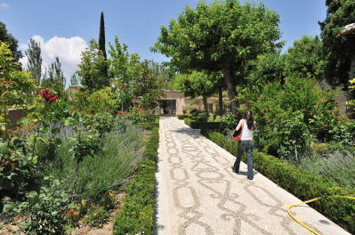 �p���h�[���E�f�E�c�[���X���E�T���E�t�����V�X�R�̒뉀