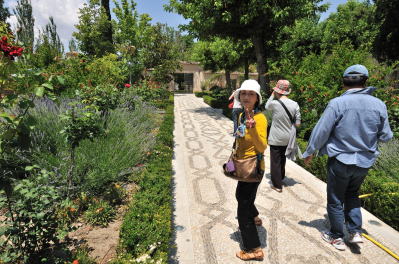 �p���h�[���E�f�E�c�[���X���E�T���E�t�����V�X�R�̒뉀