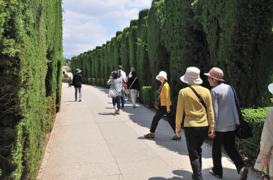 ���A���ʂ�[Calle Real]�̎�������