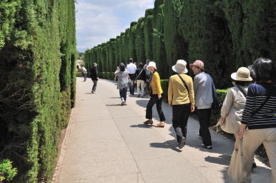 ���A���ʂ�[Calle Real]�̎�������