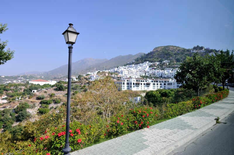 フリヒリアナ[Frigiliana]