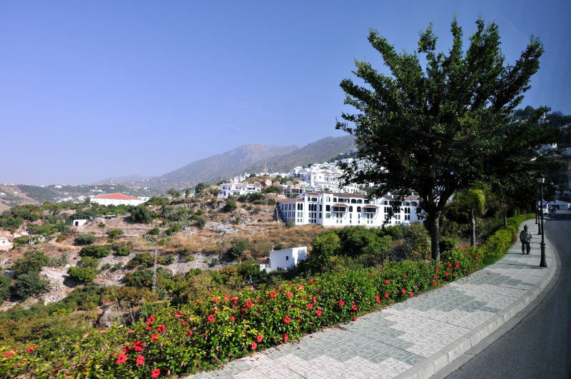 フリヒリアナ[Frigiliana]