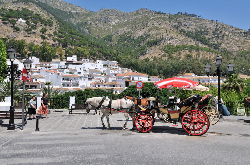 名物のロバタクシー[Burro Taxi]