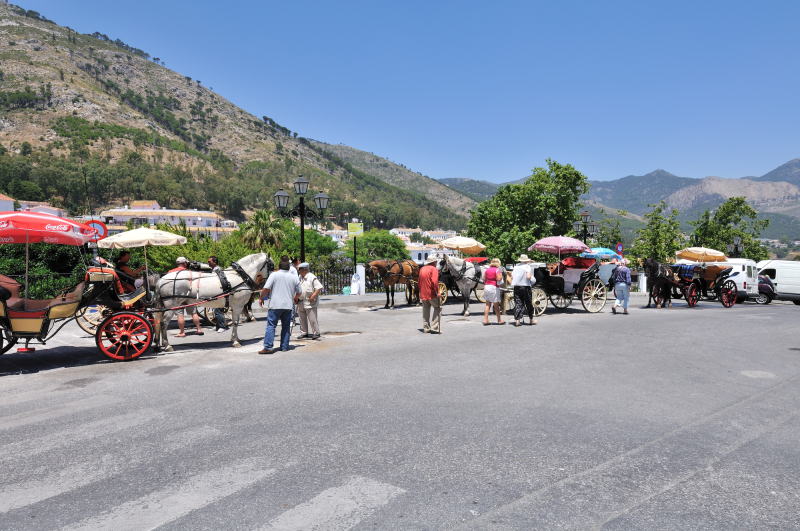 コンパス大通り[Avenida del Compás]