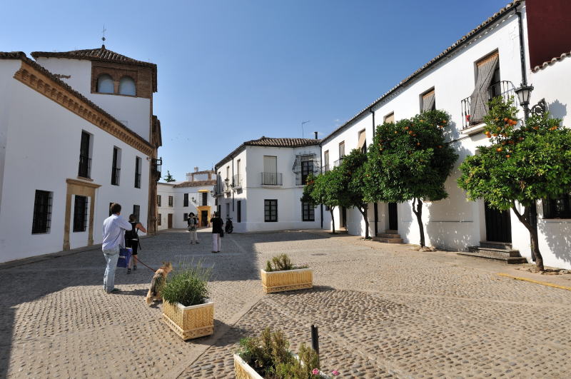 旧市街の散策、ロンダの路地風景