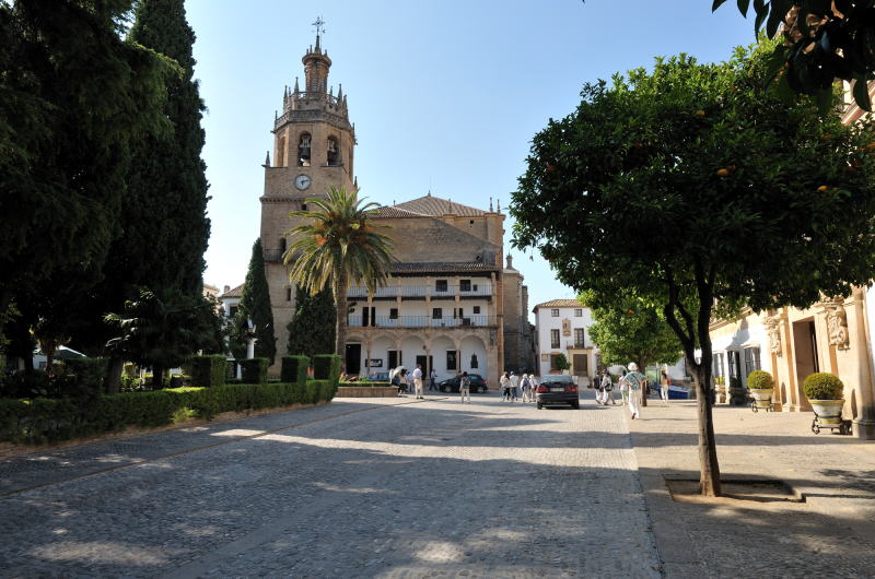 サンタ・マリア・ラ・マヨール教会[Iglesia de Santa Maria la Mayor]