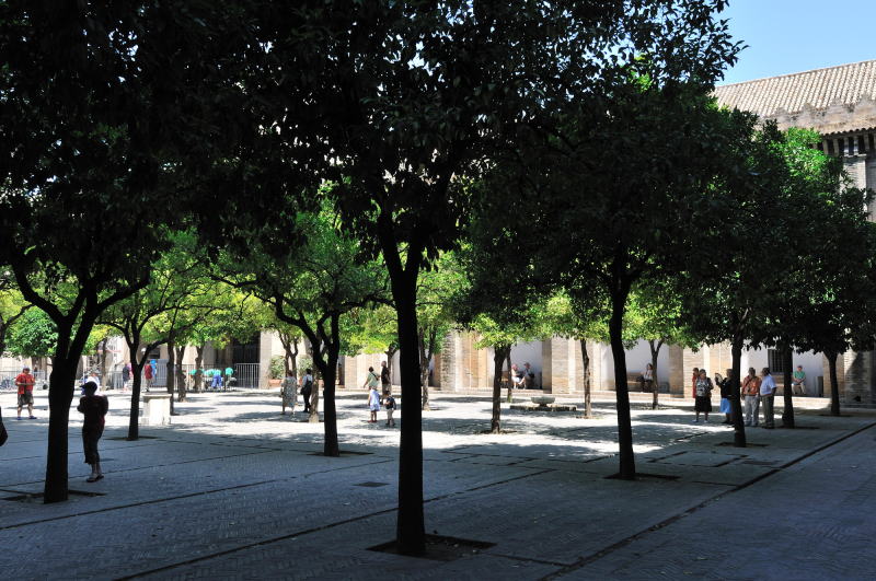 オレンジの中庭[Patio de los Naranjos]