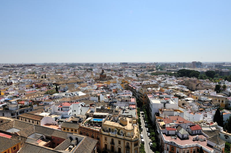 ヒルダ(風見)の塔[La Giralda]からの眺望「東方向」