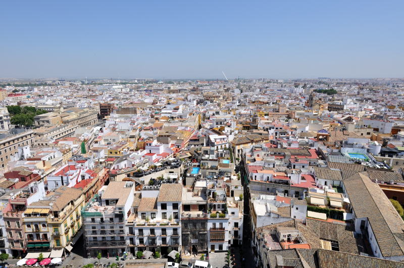 ヒルダ(風見)の塔[La Giralda]からの眺望「北方向」