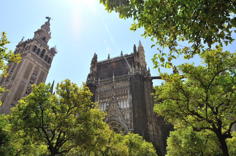 オレンジの中庭[Patio de los Naranjos]、左はヒラルダ塔、中央は聖母受胎の門[Puerta de la Concepción]