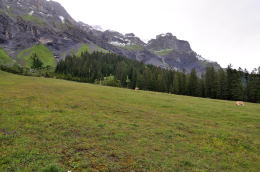 ゴンドラ山上駅～エッシネン湖[Oeschinensee](ハイキング)