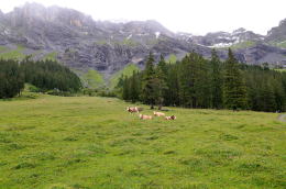 ゴンドラ山上駅～エッシネン湖[Oeschinensee](ハイキング)