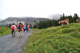 ゴンドラ山上駅～エッシネン湖[Oeschinensee](ハイキング)