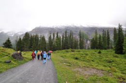 ゴンドラ山上駅～エッシネン湖[Oeschinensee](ハイキング)