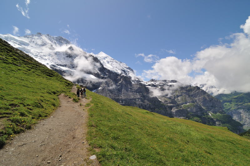 ユングフラウ  と シルバーホルンを背に下山