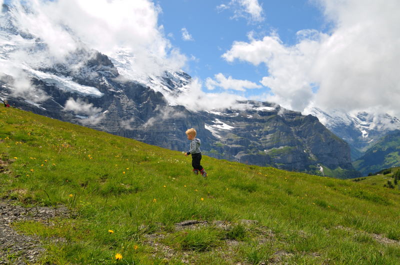 クライネシャイデック駅の手前で出会った情景