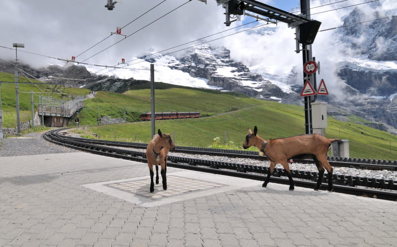 クライネシャイデック駅のホーム