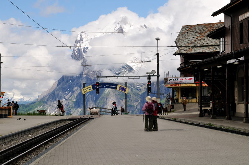 グリンデルワルト[Grindelwald]へ鉄道路が続く