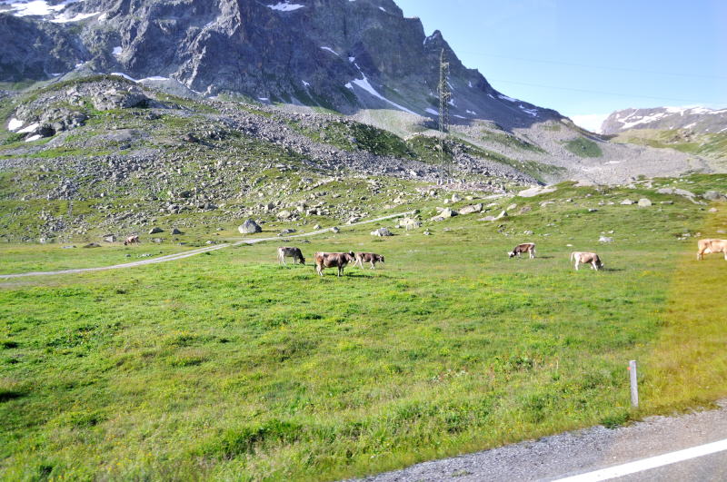 ユリア峠[Julierpass]