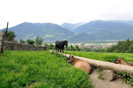 <ハイジのいえ>周辺