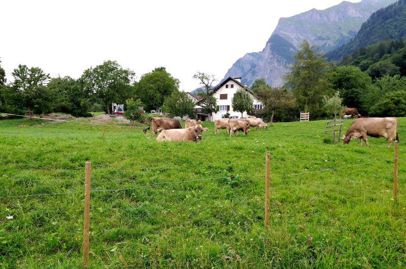 <ハイジのいえ>の駐車場付近