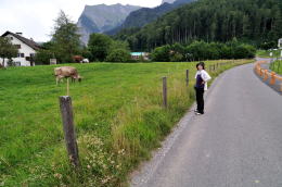 <ハイジのいえ>の駐車場付近