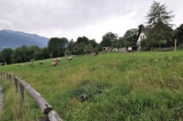 <ハイジのいえ>の駐車場付近