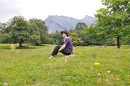 ハイジの泉にある草原(マインフェルト)