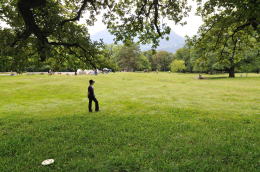 ハイジの泉にある草原(マインフェルト)