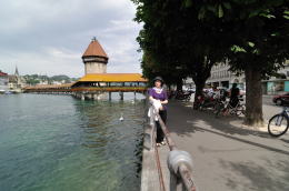 カペル橋[Kapellbrücke](ルツェルン)