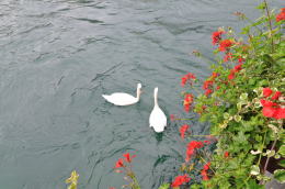 カペル橋[Kapellbrücke](ルツェルン)